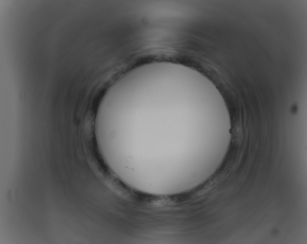 X0000093500468200710121047