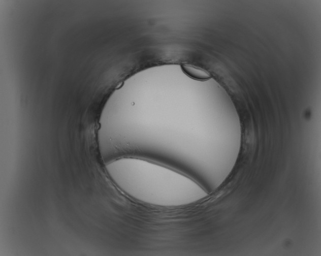 X0000093500473200710121047