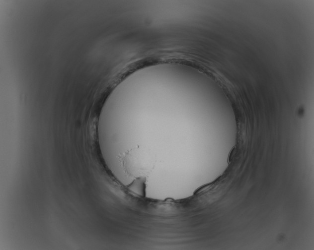 X0000093500475200710121047