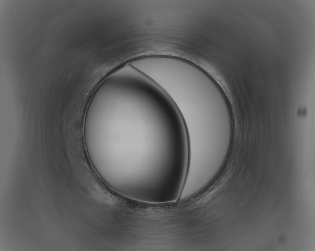 X0000093500481200710121046