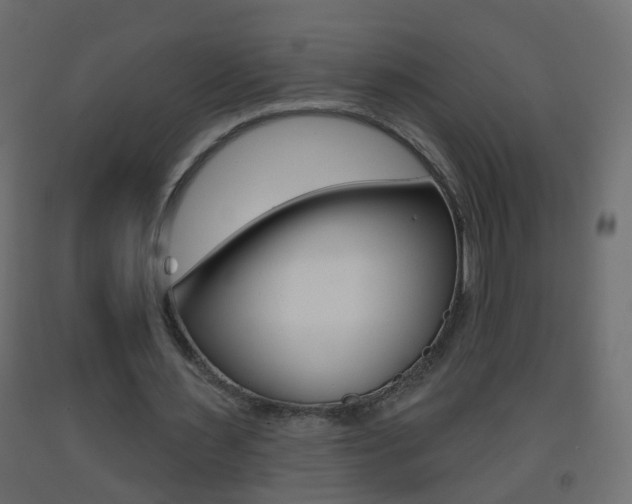 X0000093500483200710121046