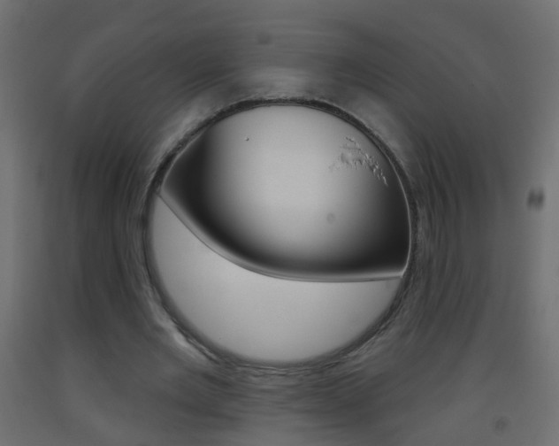 X0000093500485200710121046