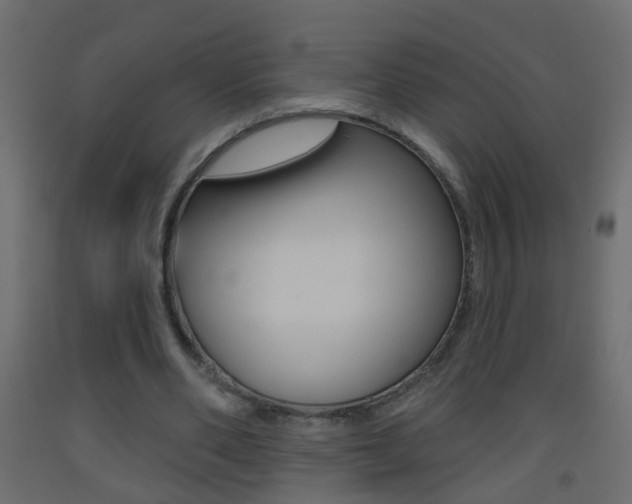 X0000093500486200710121046