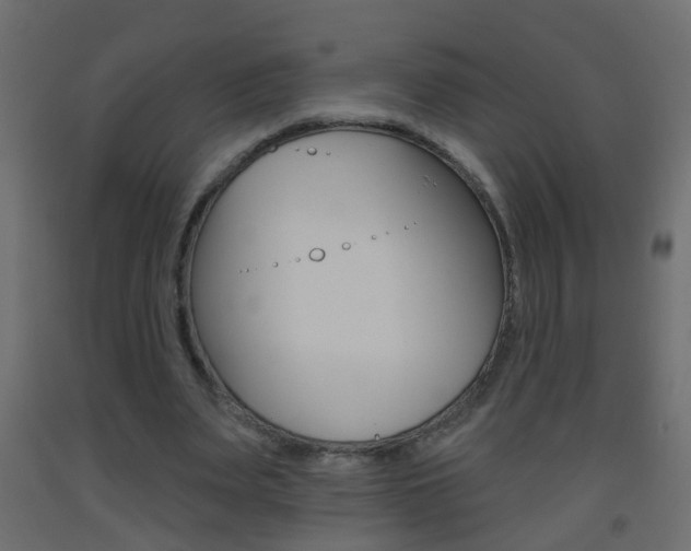 X0000093500487200710121046