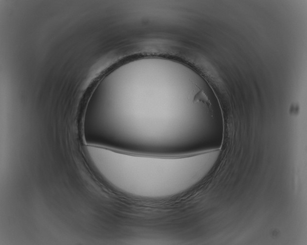 X0000093500488200710121046