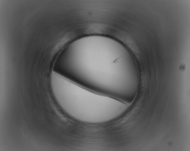X0000093500489200710121046