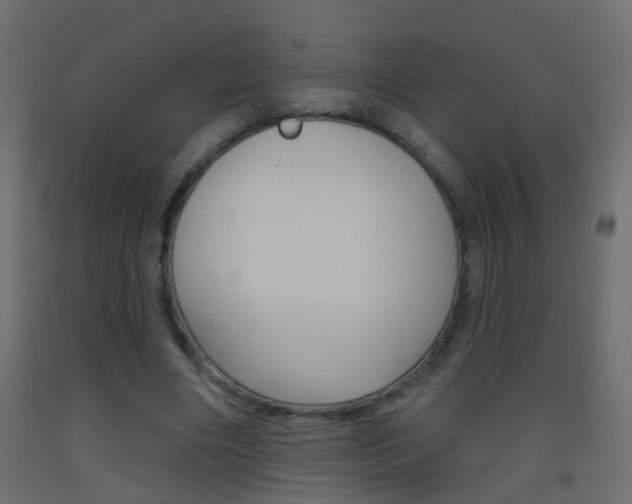 X0000093500490200710121046