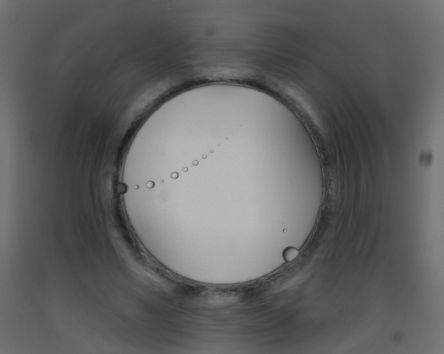 X0000093500491200710121046
