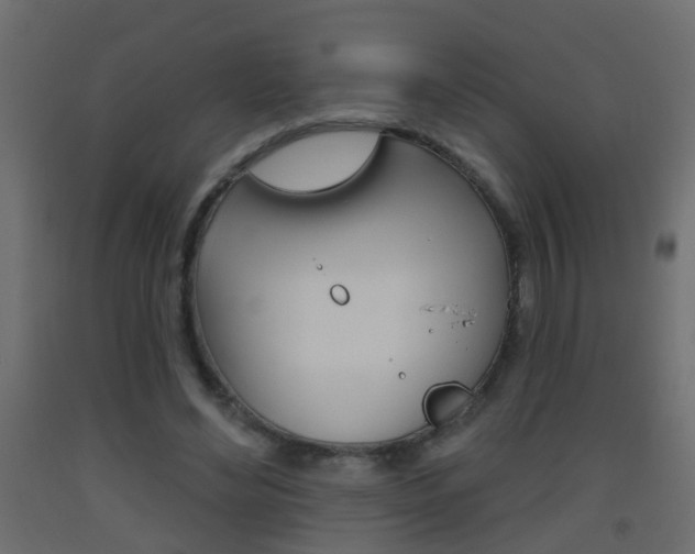 X0000093500492200710121046