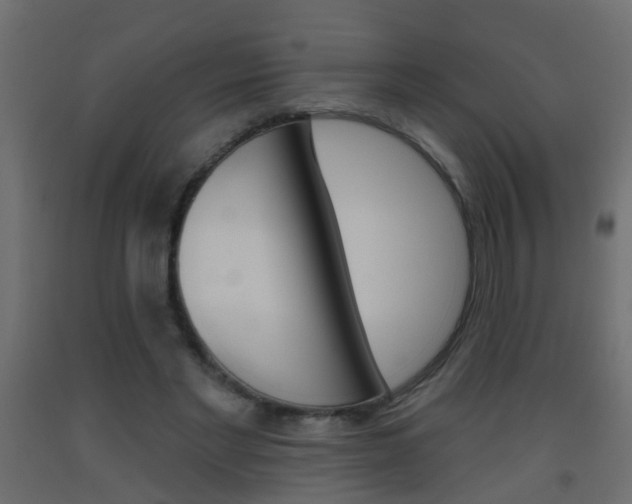 X0000093500493200710121046