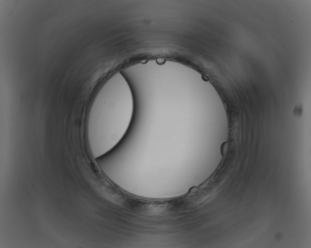 X0000093500495200710121046