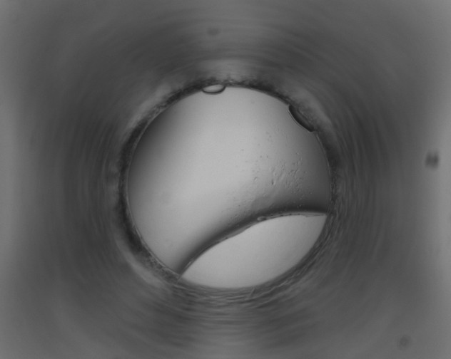 X0000093500496200710121046