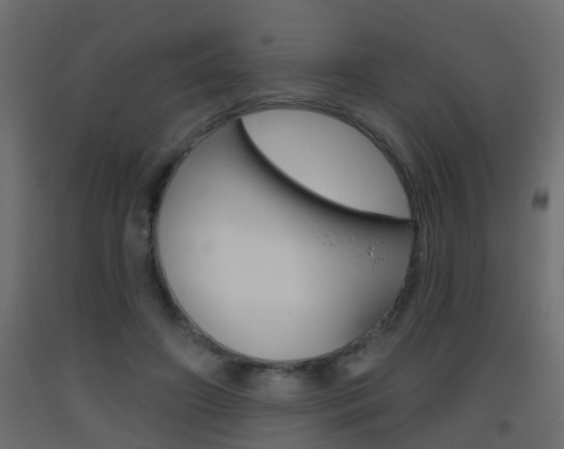 X0000093500498200710121046