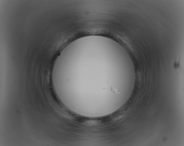 X0000093500499200710121046