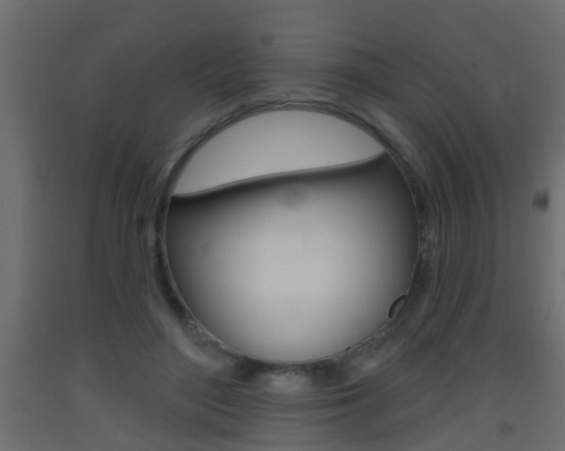 X0000093500500200710121046