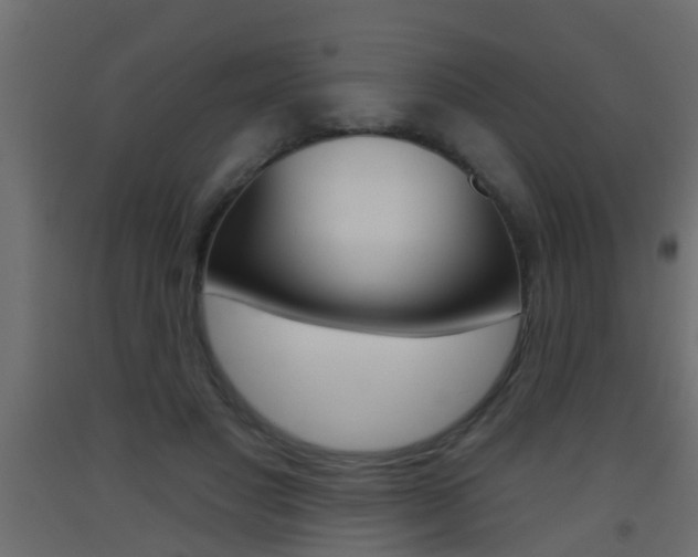X0000093500501200710121046