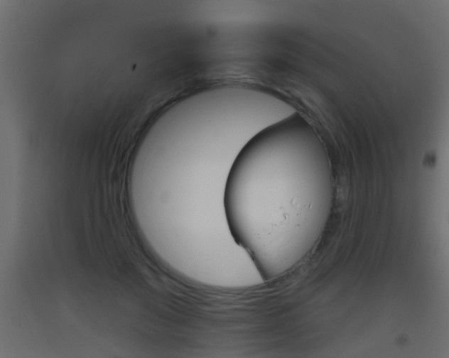 X0000093500503200710121046