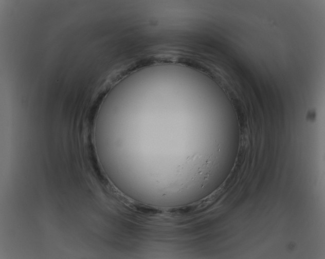 X0000093500504200710121046