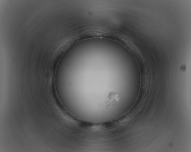 X0000093500505200710121046