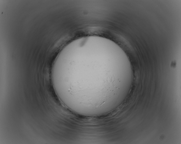 X0000093500506200710121046