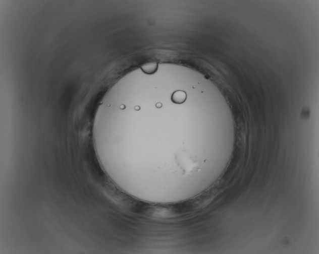 X0000093500507200710121046