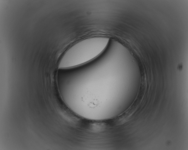 X0000093500508200710121046