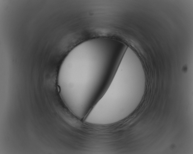 X0000093500509200710121046