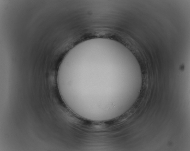 X0000093500510200710121046