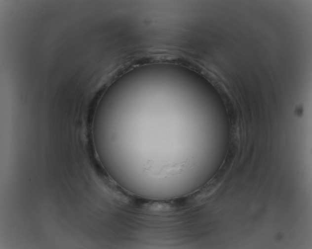 X0000093500512200710121046