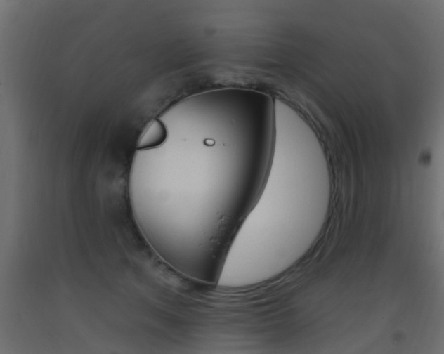 X0000093500513200710121046