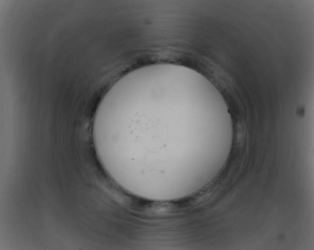 X0000093500514200710121046