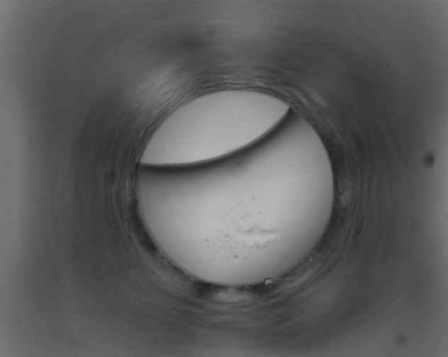 X0000093500515200710121046
