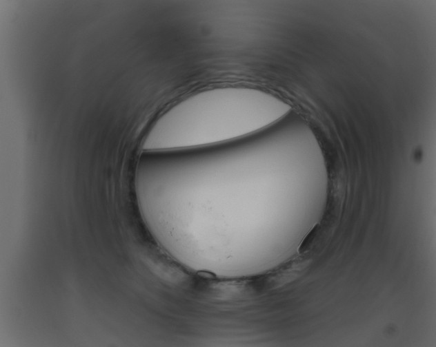X0000093500516200710121046