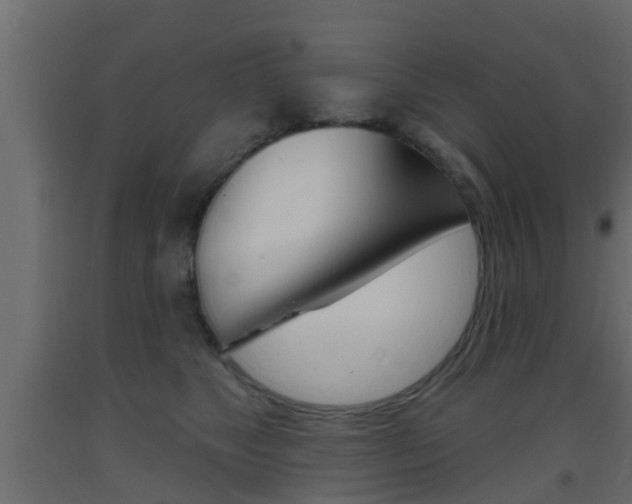 X0000093500517200710121046
