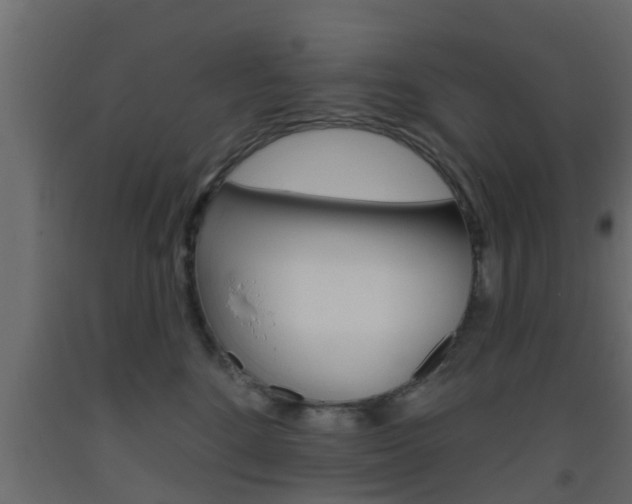 X0000093500520200710121046