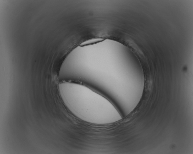 X0000093500521200710121046