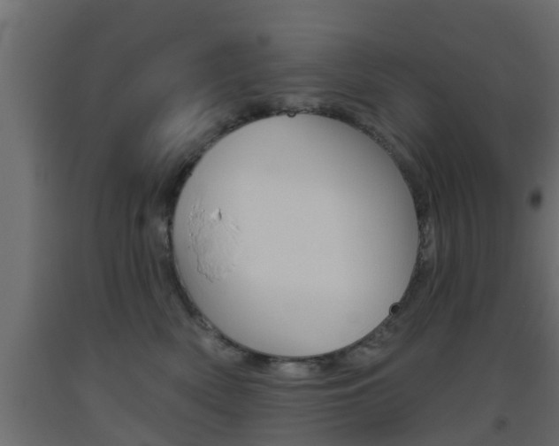 X0000093500522200710121046
