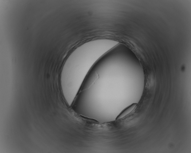 X0000093500524200710121046