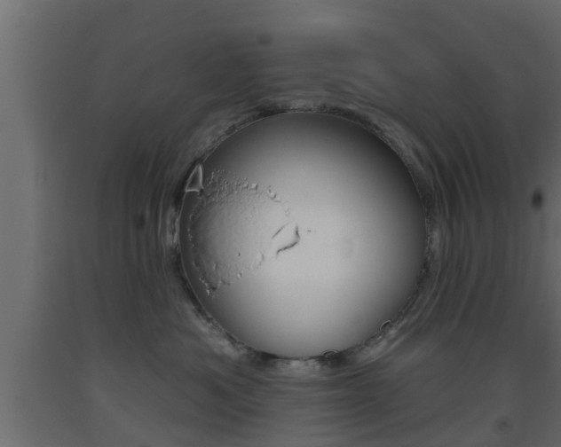 X0000093500525200710121046