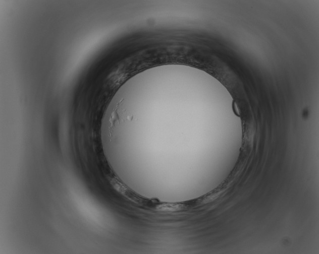 X0000093500526200710121046