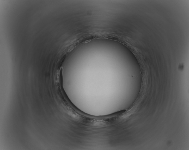 X0000093500528200710121046