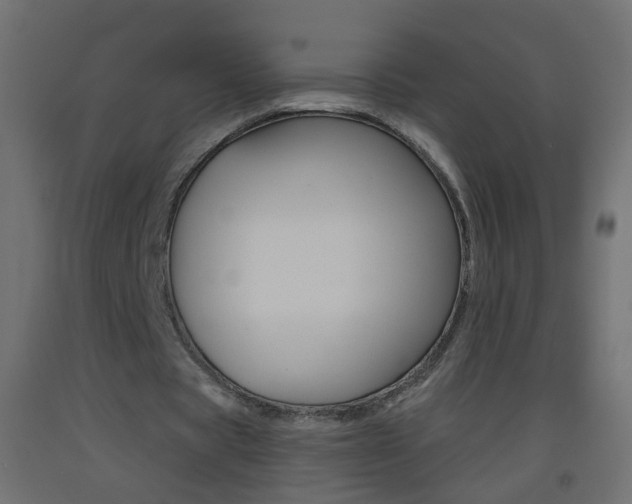 X0000093500529200710121045