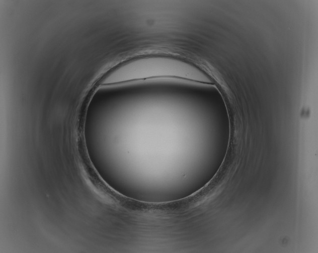 X0000093500530200710121045