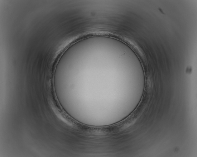 X0000093500533200710121045