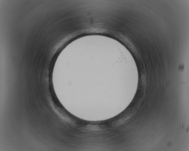 X0000093500534200710121045