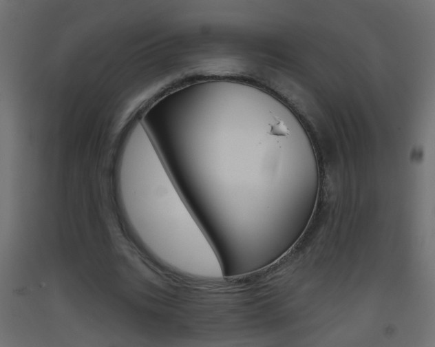 X0000093500535200710121045
