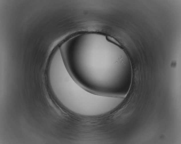 X0000093500536200710121045