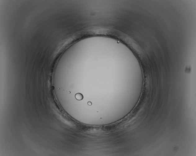 X0000093500537200710121045