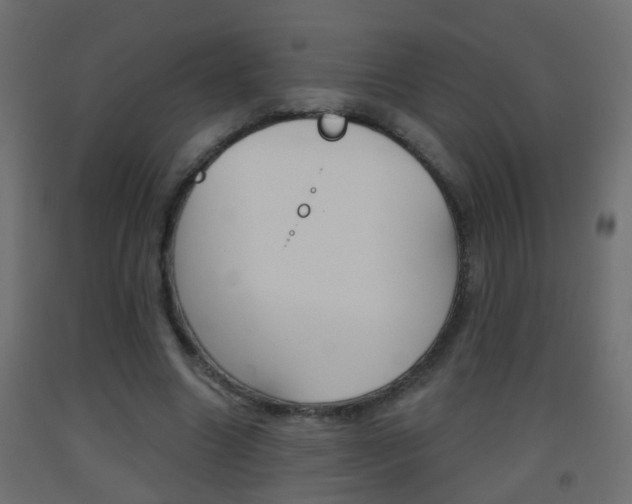 X0000093500538200710121045