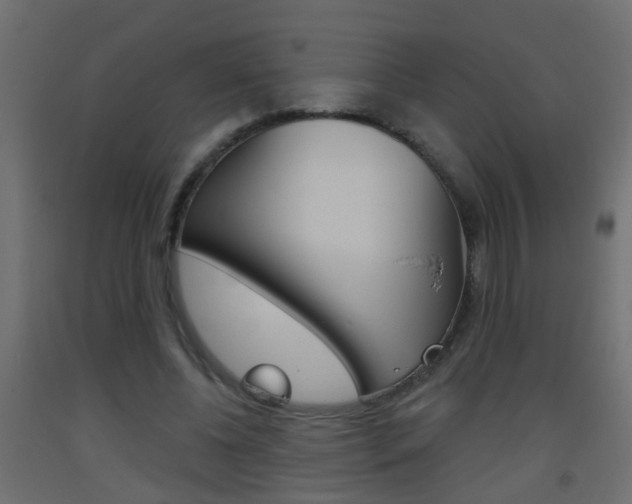 X0000093500540200710121045